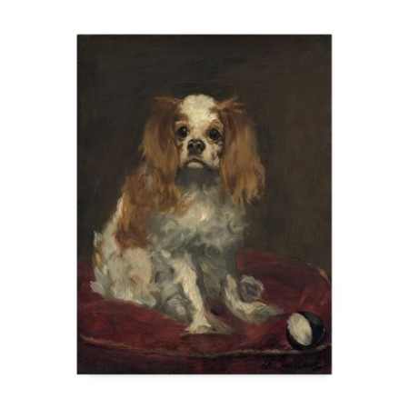 Edouard Manet 'A King Charles Spaniel' Canvas Art,35x47